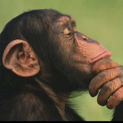 Anna ‘Haunt’hro 👻